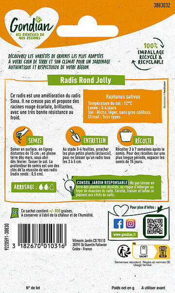GONDIAN - Radis ronds Jolly Gondian - Très bonne résistance au froid - large