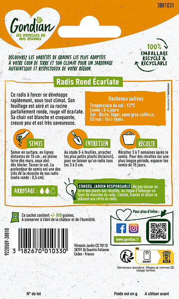 GONDIAN - Radis rond à forcer - Rouge écarlate - Croissance rapide - large