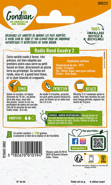GONDIAN - Radis Gaudry 2 Gondian - large