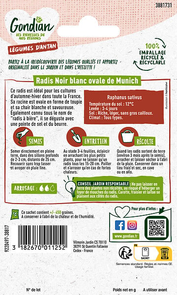 GONDIAN - Radis ovale blanc - Variété d'hiver - Racine de 10cm - large