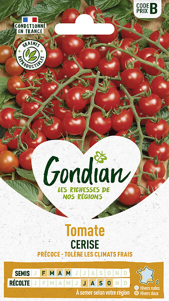 GONDIAN - Tomate Cerise Gondian - large