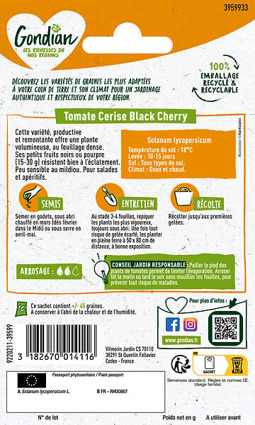 GONDIAN - Tomate Black Cherry Gondian - large
