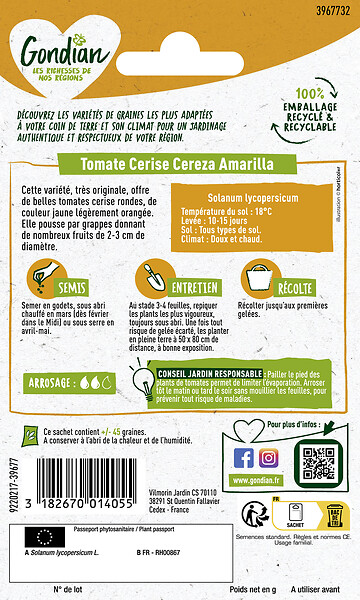 GONDIAN - Graines de tomate cerise jaune Cereza Amarilla - 0.5 kg - large