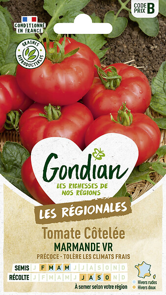 GONDIAN - Tomate Marmande Gondian - large