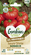GONDIAN - Tomate Marmande Gondian - vignette