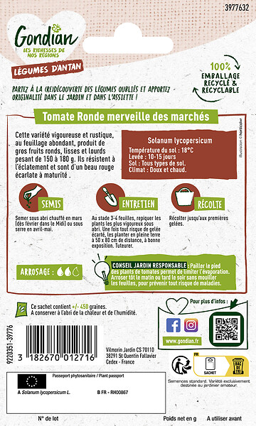 GONDIAN - Tomate Merveille des Marchés - Graines - Fruit rouge 150g - large