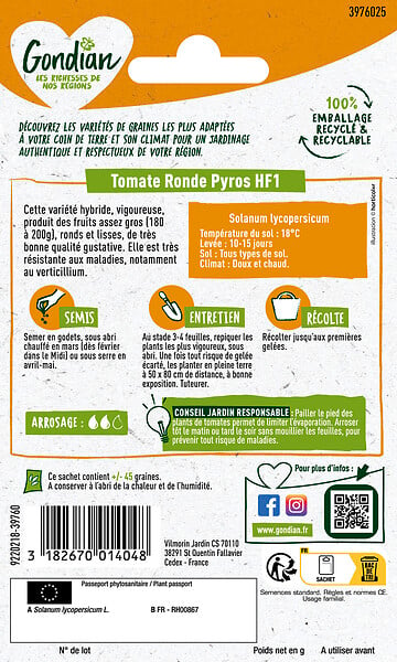 GONDIAN - Tomate Pyros HF1 Gondian - large