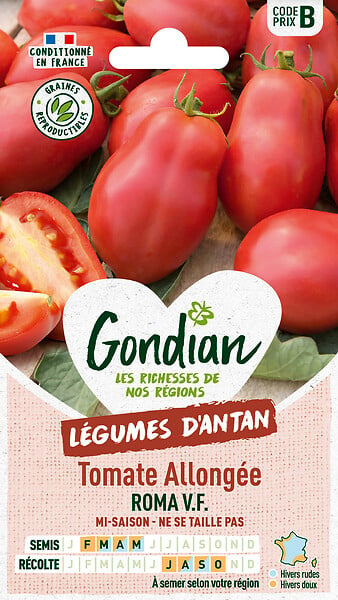 GONDIAN - Graine de tomate Roma V.F. - variété pour conserve - large
