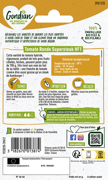 GONDIAN - Graines de tomate - Supersteak HF1 - très gros fruits - large