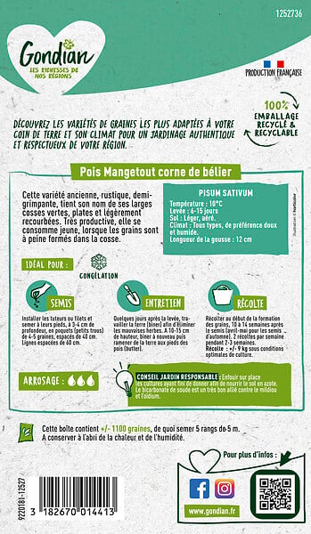 GONDIAN - Pois Corne de Bélier Gondian - large