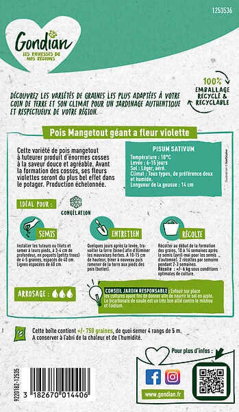 GONDIAN - Graine de Pois Géant à Fleur Violette - Violet - 2m - large