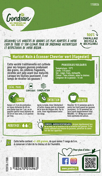 GONDIAN - Haricot Chevrier Vert Gondian - large