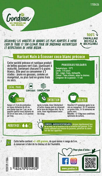 GONDIAN - Haricot Coco Blanc Précoce Gondian - large