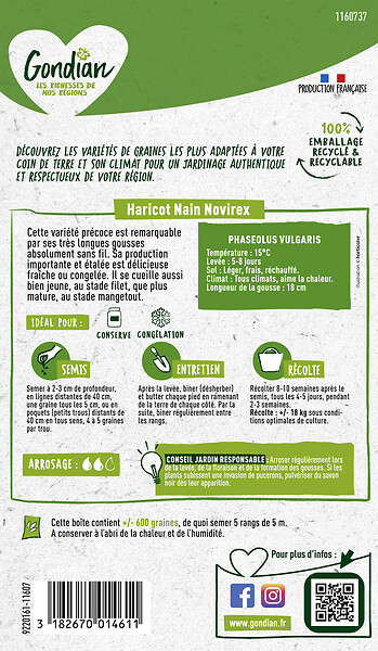GONDIAN - Haricot Novirex Gondian - large