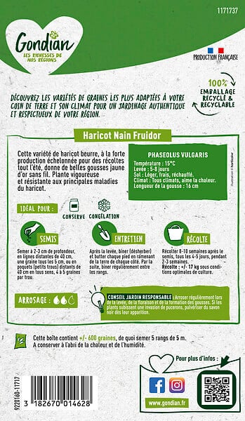 GONDIAN - Haricot beurre Fruidor Gondian - Jaune d'or - 200g - large