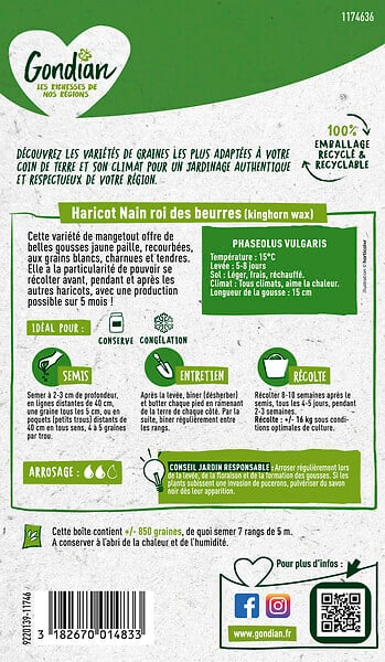 GONDIAN - Haricot Roi des Beurres Kinghorn Wax Gondian - large