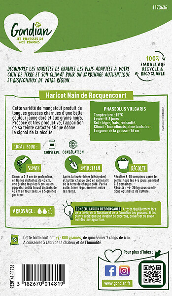 GONDIAN - Haricot de Rocquencourt Gondian - large