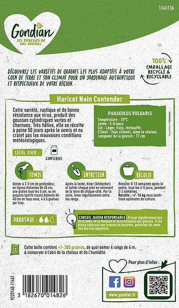 GONDIAN - Haricot nain mangetout Contender - 250 g - large