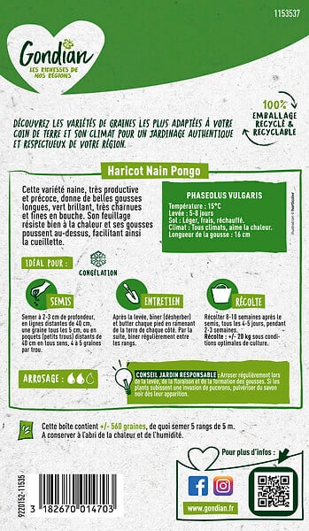 GONDIAN - Graines de haricot potager Pongo - Nain mangetout - Précoce - large
