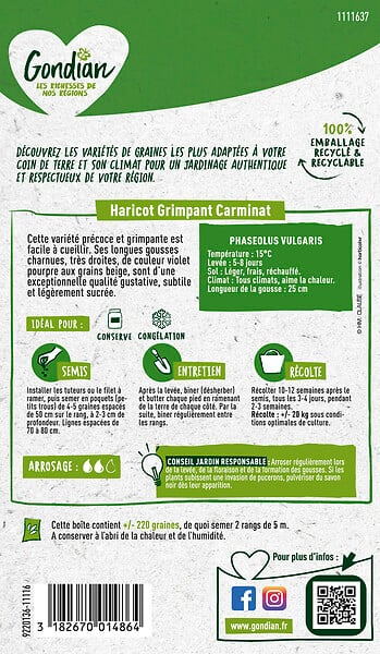 GONDIAN - Graine de haricot grimpant Carminat - Variété précoce - large