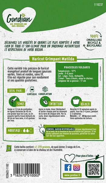 GONDIAN - Haricot Matilda Gondian - large
