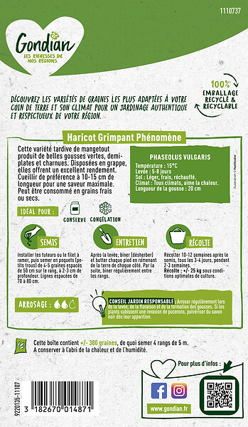 GONDIAN - Haricot Phénomène Gondian - large