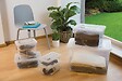 KETER - Boîte de rangement handy CURVER 9L avec couvercle - vignette
