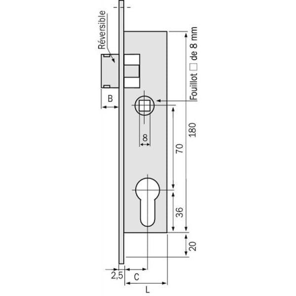 METALUX - Serrure à larder 1 point bec-de-cane à cylindre européen axe 21 mm - Pour gâche électrique Métalux 9 - large