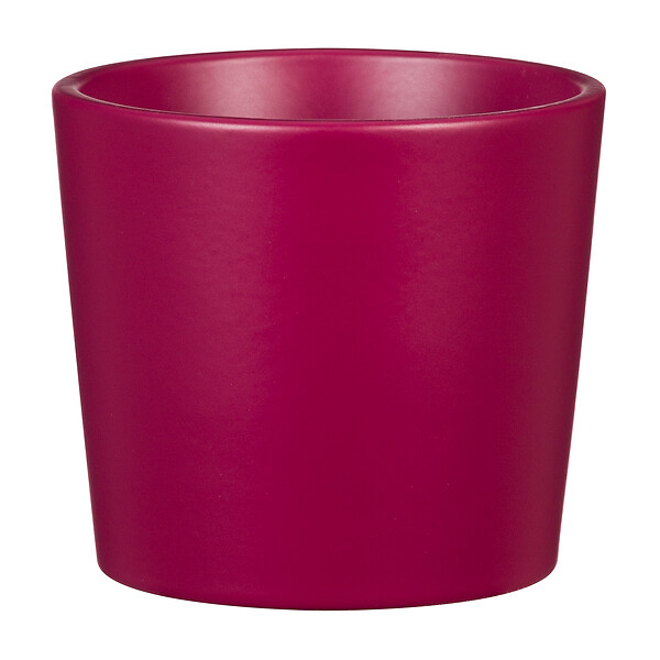SCHEURICH - Cache-pot céramique Mini Fancy 7cm - Blanc - 0,16L - large