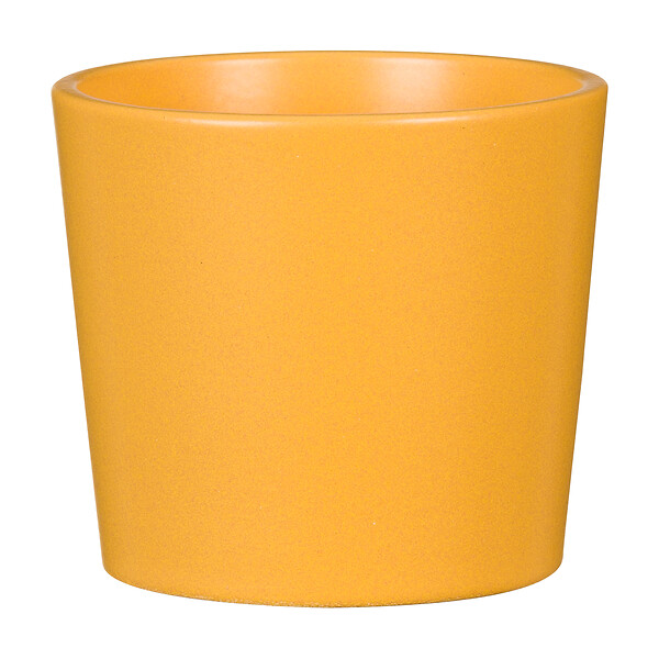 SCHEURICH - Cache-pot céramique Mini Fancy 7cm - Blanc - 0,16L - large