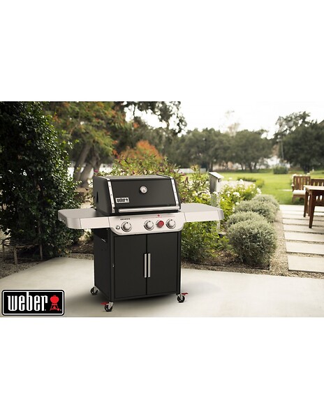 WEBER - Barbecue à gaz - large
