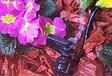 HOZELOCK - Arroseur 360Â° Vari Rotor Spray (x5) - vignette