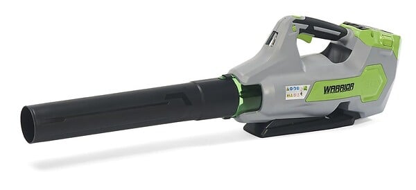 CENTRALE BRICO - Souffleur de feuilles sans fil 60V sans batterie ni chargeur - large