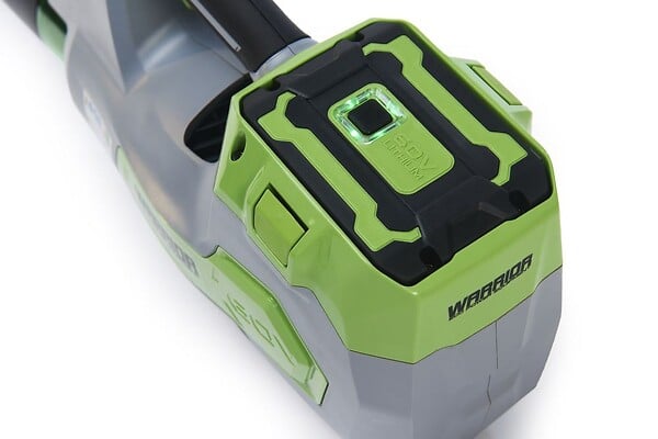 CENTRALE BRICO - Souffleur de feuilles sans fil 60V sans batterie ni chargeur - large