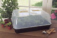 NORTENE - Mini-serre pour semis Rapid Grow en polypropylène - noir/transparent - vignette