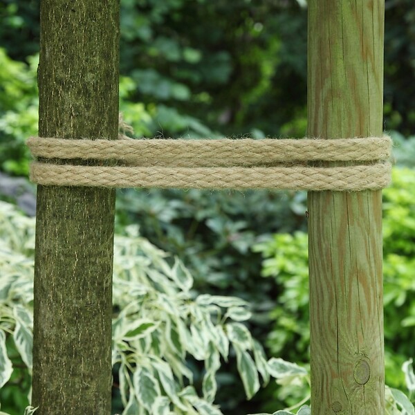 CENTRALE BRICO - Corde plate en fibre de jute LA CORDELINE, L.5 m - large