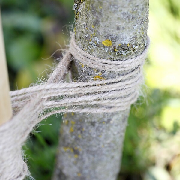 CENTRALE BRICO - Pelote 100g en jute LA CORDELINE, Diam.2 mm, L.75 m - large