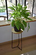 CENTRALE BRICO - Sellette industrielle haute fer rond plateau bois - 61x30 cm - Acier époxy - vignette