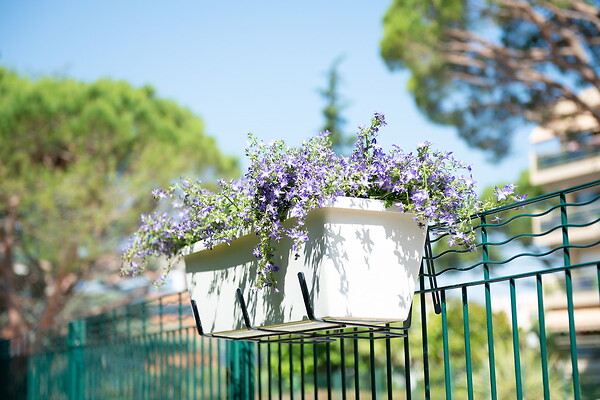 CENTRALE BRICO - Support jardinière fixations réglables anthracite - 60x18 cm - Acier époxy - large