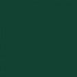 CENTRALE BRICO - Peinture multimatériau extérieur SYNTILOR vert basque satiné 0.5 l - vignette