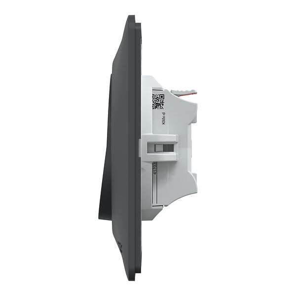 SCHNEIDER ELECTRIC - Bouton poussoir monobloc - Ovalis - Anthracite - 10A - large