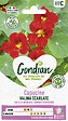 GONDIAN - Capucine Valina Ecarlate Gondian - vignette