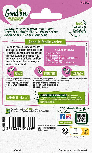 GONDIAN - Ancolie Étoile Variée - Graines de fleurs - 60cm - large