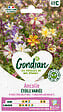 GONDIAN - Ancolie Étoile Variée - Graines de fleurs - 60cm - vignette