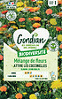 GONDIAN - Mélange de graines florales Eloigne les Pucerons 50cm - vignette