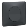 SCHNEIDER ELECTRIC - Ovalis Monobloc Interrupteur va et vient 10AX lumineux Anthracite - vignette