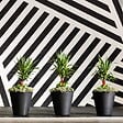 CENTRALE BRICO - Pot rond noir Rim de 46 cm avec TruDrop One - vignette