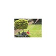HOZELOCK - Cache de désherbage XL - Plastique - Rouge - 40cm - vignette