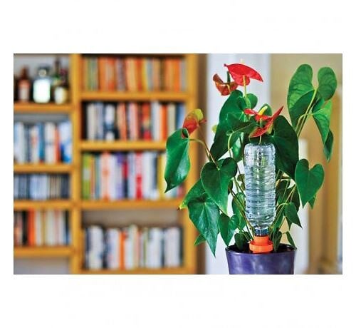 HOZELOCK - Cône d'arrosage céramique - Aquasolo Small - 7cl orange - large