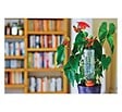 HOZELOCK - Cône d'arrosage céramique - Aquasolo Small - 7cl orange - vignette